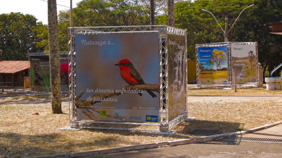 WhatsApp-Image-2021-09-11-at-16.58.15-1-960x540