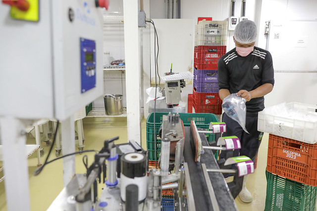 Micro e pequenos empreendedores crescem com o apoio do GDF